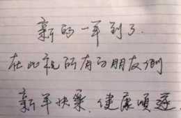 11屆文代會靳東強調“慢下來”，沒曾想其硬筆書法不錯，果敢老練