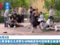 北京一野生動物園現遊客打鬥，當夜動物紛紛效仿，園方宣告亮了！