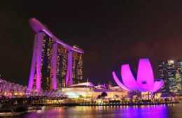 遊走「新加坡」☀ 穿行「吉隆坡」打卡網紅美食景點