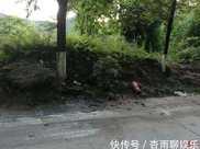 四川南部一輛老年代步車突然起火，車內兩名幼童死亡
